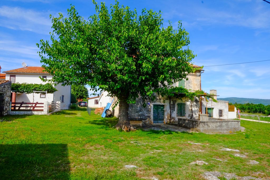 PRODAJE SE KAMENA KUĆA 131 M2&708 m2 VRTA*ISTRA Maris Nekretnine